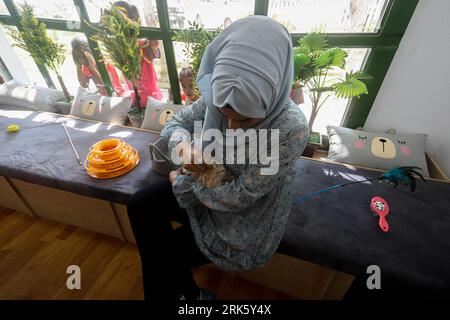 Gaza, Palestine. 24 août 2023. Premier café pour chats 'Meow Cat Cafe' dans la ville de Gaza, Palestine le 24 août 2023. Photo de Ramez Habboub/ABACAPRESS.COM crédit : Abaca Press/Alamy Live News Banque D'Images