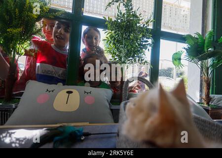 Gaza, Palestine. 24 août 2023. Premier café pour chats 'Meow Cat Cafe' dans la ville de Gaza, Palestine le 24 août 2023. Photo de Ramez Habboub/ABACAPRESS.COM crédit : Abaca Press/Alamy Live News Banque D'Images