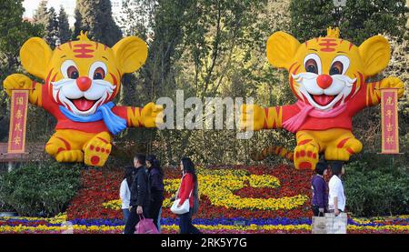 Bildnummer: 53770091  Datum: 31.01.2010  Copyright: imago/Xinhua (100201) --KUNMING, Feb. 1, 2010 (Xinhua) -- Local residents walk past a flower terrace, on which is decorated with two large tiger models, on the Dongfeng Square in Kunming, capital of southwest China s Yunnan Province, Jan. 31, 2010. Spring Festival decorations such as New Year Pictures, lanterns, China knots, Spring Festival couplets, etc. are in great demand nowadays in the capital city, as the Spring Festival, or Chinese New Year, approaches. (Xinhua/Ling Yiguang)(dyw) (1)CHINA-KUNMING-SPRING FESTIVAL (CN) PUBLICATIONxNOTxIN Banque D'Images