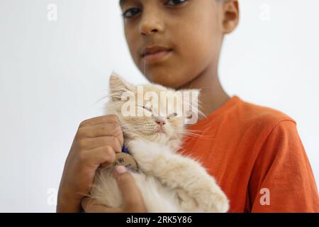 Gaza, Palestine. 24 août 2023. Premier café pour chats 'Meow Cat Cafe' dans la ville de Gaza, Palestine le 24 août 2023. Photo de Ramez Habboub/ABACAPRESS.COM crédit : Abaca Press/Alamy Live News Banque D'Images