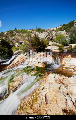 Une rivière tranquille coule à travers un magnifique paysage de montagne. Réserve naturelle de Waterval, Afrique du Sud. Banque D'Images