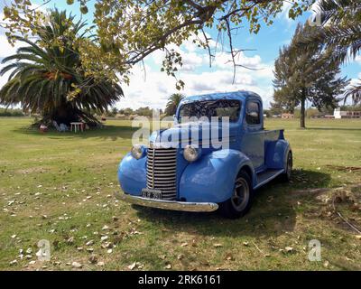 Vieux bâton de voiture de Chevrolet 1940 bleu dans la campagne sous un arbre. Salon automobile classique CAACMACH 2023. Jour ensoleillé Banque D'Images