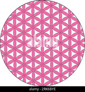Couleur des éléments de conception vectoriels de géométrie effrayée. design de festival. Ce sont des symboles de religion, de philosophie et de spiritualité. le monde de la géométrie Illustration de Vecteur