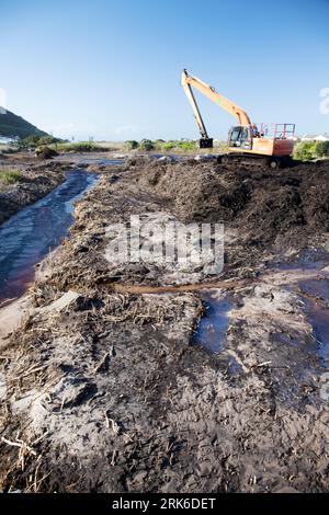 Voie navigable en cours de nettoyage pour arrêter les inondations, Afrique du Sud Banque D'Images