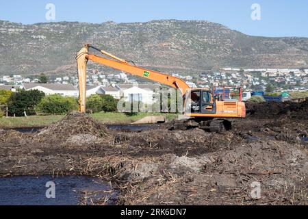 Voie navigable en cours de nettoyage pour arrêter les inondations, Afrique du Sud Banque D'Images