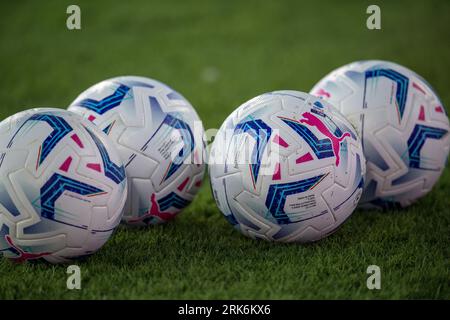 Bologne, Italie. 21 août 2023. balla pendant Bologne FC vs AC Milan, match de football italien Serie A à Bologne, Italie, août 21 2023 crédit : Independent photo Agency/Alamy Live News Banque D'Images