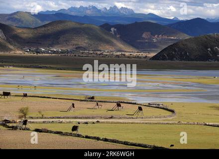 Bildnummer : 53858590 Datum : 20.10.2009 Copyright : imago/Xinhua (100316) -- SHANGRI-LA, (Xinhua) -- photo prise le 20 octobre 2009 montre la vue du comté de Shangri-la, préfecture autonome tibétaine de Deqen, province du Yunnan, préfecture autonome tibétaine de Deqen a attiré plus de 4 millions de touristes à la maison et à l'étranger en 2009. (Xinhua/Lin Yiguang) (cy) (2)CHINA-YUNNAN-TOUR (CN) PUBLICATIONxNOTxINxCHN Reisen Asien CHN kbdig xng quer Bildnummer 53858590 Date 20 10 2009 Copyright Imago XINHUA Shangri la XINHUA photo prise LE 20 2009 octobre montre la vue de Shangri la County T. Banque D'Images