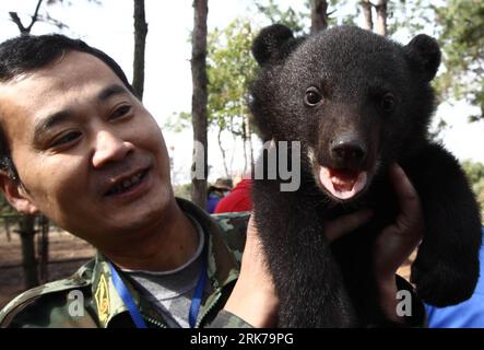 Bildnummer: 53890718  Datum: 25.03.2010  Copyright: imago/Xinhua (100325) -- HEFEI(ANHUI), March 25, 2010 (Xinhua) -- A zookeeper of the Hefei Wild Animal Park shows a bear cub at the park s animal nursery in the city of Hefei, east China s Anhui province, March 25, 2010. Zookeepers planed to separate these four cubs from their parents after their ablactation, and begin their independent living. (Xinhua/Wang Shilong) (wyx) (2)CHINA-ANHUI-ANIMAL NURSERY-BEARS (CN) PUBLICATIONxNOTxINxCHN Gesellschaft Tiere Zoo Bären Jungtiere kbdig xub 2010 quer o00 Pfleger, Tierpfleger    Bildnummer 53890718 Da Stock Photo