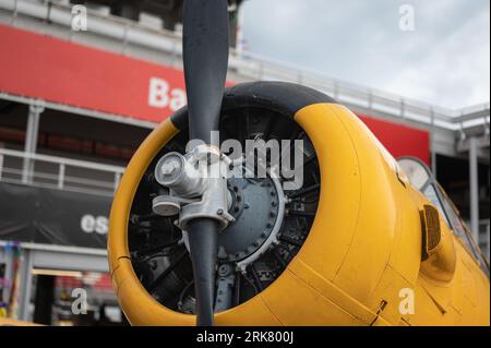 Détail du moteur et de l'hélice d'un avion de l'armée de l'air espagnole North American Aviation T-6 Texan Banque D'Images