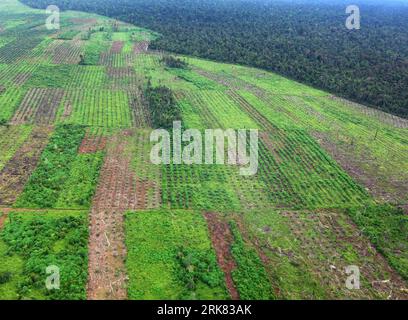 Bildnummer: 53961240  Datum: 21.04.2010  Copyright: imago/Xinhua (100421) -- JAMBI, April 21, 2010 (Xinhua) -- A bird s eye view shows the growing area of palm trees in the Indonesian province of Jambi on Sumatra island, April 20, 2010. As the palm oil price is increasing on the world market, Indonesia speed up the plantations of palm trees to become the largest exporter of palm oil at the expense of the loss of virgin forest, which is the main absorber of greenhouse gases and guard of biological diversity. (Xinhua/Yue Yuewei)(zx) (3)INDONESIA-SUMATRA ISLAND-DEFORESTATION-PALM OIL PLANTATION P Stock Photo