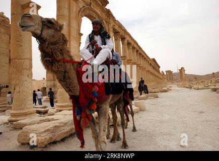 Bildnummer : 54063357 Datum : 09.05.2010 Copyright : imago/Xinhua (100520) -- SYRIE, 20 mai 2010 (Xinhua) -- photo prise le 9 mai 2010 montre un guide touristique dans la relique d'une ville antique, à 210 km au nord-est de Damas, capitale de la Syrie. (Xinhua/Xue Dongmei) (hdt) (7)SYRIA-SCENERY-LIFESTYLE PUBLICATIONxNOTxINxCHN Gesellschaft kbdig xmk 2010 quer o0 Kamel, Tiere Bildnummer 54063357 Date 09 05 2010 Copyright Imago XINHUA Syrie Mai 20 2010 XINHUA photo prise LE 9 2010 mai montre un Guide touristique dans la relique de la ville antique 210 km au nord-est de Damas capitale de la Syrie XINHUA Xue Dongmei HD Banque D'Images