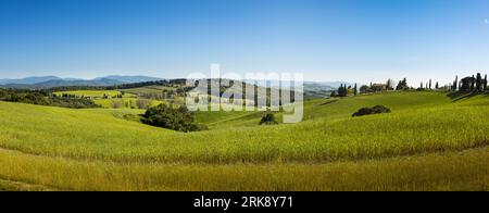 Collines de Toscane près de Volterra, Toscane, Italie Banque D'Images