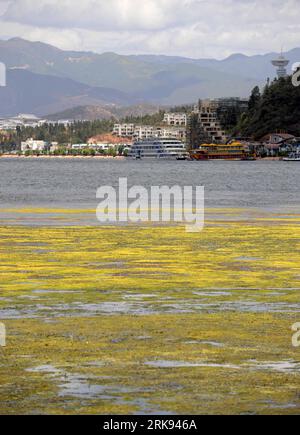 Bildnummer: 54119628  Datum: 06.06.2010  Copyright: imago/Xinhua  Photo taken on June 6, 2010 shows the wetland park by the Erhai Lake in Bai Autonomous Prefecture of Dali, southwest China s Yunnan Province. Erhai Lake, covering 253 square kilometers and being the second largest fresh water lake in Yunnan Province, is named as the mother lake by local people. Thanks to the efforts of local government in pollution in the famous plateau lake and improving the local environment, the water quality of the lake has been improved. (Xinhua/Lin Yiguang) (zl) (4)CHINA-DALI-ERHAI LAKE-WATER QUALITY (CN) Stock Photo