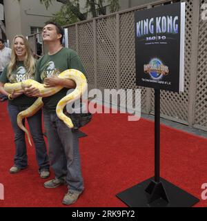 Bildnummer: 54189976  Datum: 29.06.2010  Copyright: imago/Xinhua (100629) -- LOS ANGELES, June 29, 2010 (Xinhua) -- Performers hold a python at the opening of the attraction King Kong 360 3-D at Universal Studios in Hollywood, California, the United States, June 29, 2010. (Xinhua/Qi Heng) (zw) (5)U.S.-HOLLYWOOD-KING KONG 360 3-D PUBLICATIONxNOTxINxCHN Entertainment Kultur premiumd xint kbdig xkg 2010 quadrat  o0 3D, Schlange, Riesenschlange, Tiere    Bildnummer 54189976 Date 29 06 2010 Copyright Imago XINHUA  Los Angeles June 29 2010 XINHUA Performers Hold a Python AT The Opening of The Attrac Stock Photo