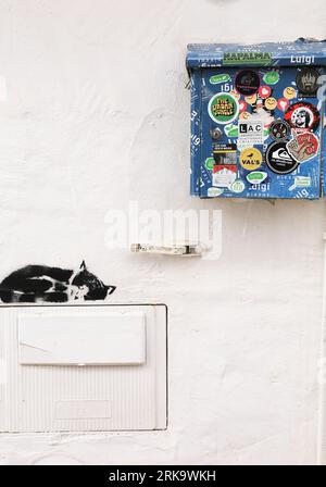 Lagos, Algarve, Portugal- 23 octobre 2022 : boîte aux lettres en métal bleu pleine d'autocollants à côté de graffitis dormant de chat Banque D'Images