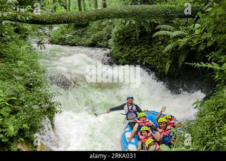 Pangalengan, Bandung-Indonésie décembre 2022 : Un groupe d'hommes et de femmes font du rafting sur la rivière, du sport extrême et amusant. Groupe de personnes sport nautique r Banque D'Images