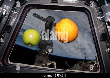 Atmosphère terrestre. 15 août 2023. Une pomme et une orange sont représentées flottant en apesanteur dans la coupole de la Station spatiale internationale. Vu à l'extérieur de la coupole, se trouve le navire d'équipage Soyouz MS-23 amarré au module d'amarrage Prichal qui est attaché au module scientifique Nauka. Crédit : NASA/ZUMA Press Wire/ZUMAPRESS.com/Alamy Live News Banque D'Images