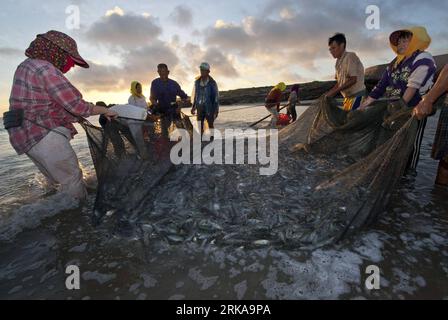 Bildnummer : 54293130 Datum : 12.08.2010 Copyright : imago/Xinhua (100812) -- PINGTAN, 12 août 2010 (Xinhua) -- les pêcheurs du village de Zilan dans le comté de Pingtan tirent un filet pour récolter des poissons à l'aube du 12 août 2010 à Pingtan, dans la province du Fujian du sud-est de la Chine. Les pêcheurs du comté de Pingtan choisissent traditionnellement de pêcher en posant des filets dans la mer lorsque la marée monte et en les tirant en arrière lorsqu'elle descend. (Xinua/Jiang Kehong) (zn) CHINA-FUJIAN-PINGTAN-FISHING (CN) PUBLICATIONxNOTxINxCHN Gesellschaft Land Leute Arbeitswelten Fischerei Fischer Fotostory kbdig xsk 2010 quer o0 Netz Fischernetz Abend Fisch Banque D'Images