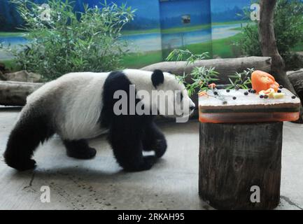 Bildnummer : 54361179 Datum : 29.08.2010 Copyright : imago/Xinhua (100829) -- TAIPEI, 29 août 2010 (Xinhua) -- Tuantuan se précipite à son gâteau d'anniversaire au zoo de Taipei à Taipei, dans le sud-est de la Chine Taiwan, 29 août 2010. Les membres de la famille de trois générations de 66 familles ont été invités dimanche à assister à une fête d'anniversaire pour les pandas Tuantuan et Yuanyuan avec le thème de la réunion pour correspondre à la signification des noms de pandas. Le couple de pandas, né en 2004, a été envoyé à Taipei en cadeau en 2008. (Xinhua/Wu Ching-teng) (wy) CHINA-TAIPEI-PANDAS-TUANTUAN & YUANYUAN-ANNIVERSAIRE (CN) PUBLICAT Banque D'Images