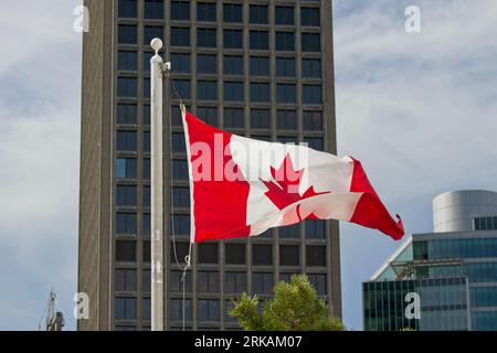 Un drapeau canadien brandissant fièrement dans le vent devant un grand édifice moderne Banque D'Images