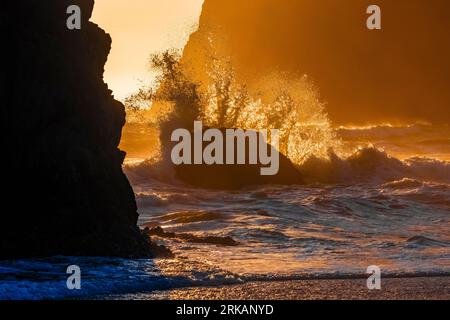 Vagues s'écrasant sur des rochers à Ruby Beach , Parc National Olympique, Etat de Washington, Etats-Unis Banque D'Images