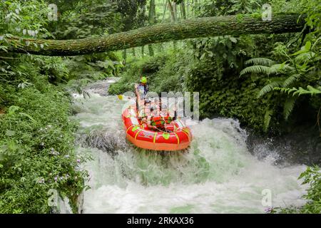 Pangalengan, Bandung-Indonésie décembre 2022 : Un groupe d'hommes et de femmes font du rafting sur la rivière, du sport extrême et amusant. Groupe de personnes sport nautique r Banque D'Images