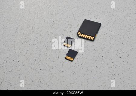 Gros plan des cartes SD et microSD, symboles d'un stockage compact et efficace sur puces. Détail des cartes SD et microSD, représentant le concept moderne o Banque D'Images