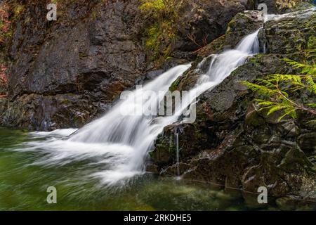 Chutes d'eau Todd Creek dans le parc provincial Sooke Potholes, île de Vancouver, Colombie-Britannique, Canada. Banque D'Images