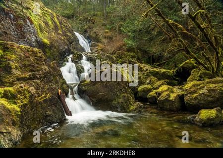 Chutes d'eau Todd Creek dans le parc provincial Sooke Potholes, île de Vancouver, Colombie-Britannique, Canada. Banque D'Images