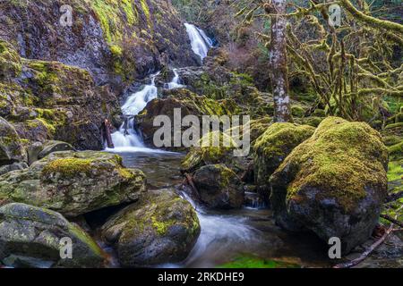 Chutes d'eau Todd Creek dans le parc provincial Sooke Potholes, île de Vancouver, Colombie-Britannique, Canada. Banque D'Images