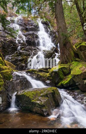 Chutes d'eau Todd Creek dans le parc provincial Sooke Potholes, île de Vancouver, Colombie-Britannique, Canada. Banque D'Images