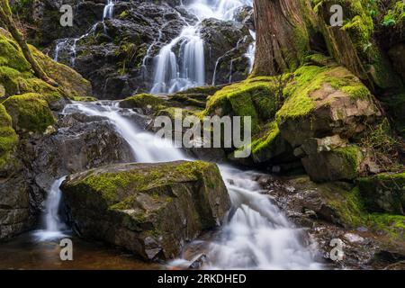 Chutes d'eau Todd Creek dans le parc provincial Sooke Potholes, île de Vancouver, Colombie-Britannique, Canada. Banque D'Images