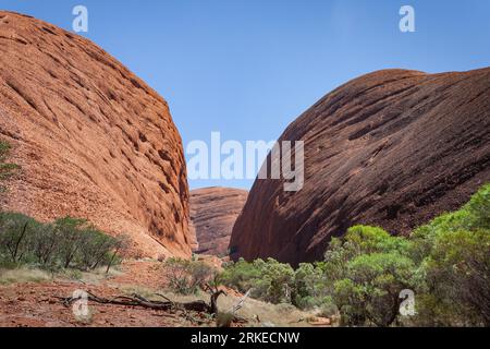 Dômes impressionnants de Kata Tjuta, territoire du Nord, Australie Banque D'Images