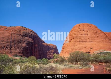 Sentier de randonnée dans le Centre Rouge, Kata Tjuta, territoire du Nord, Australie Banque D'Images