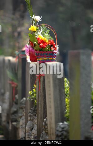 Bildnummer : 55236342 Datum : 05.04.2011 Copyright : imago/Xinhua (110405) -- HANGZHOU, 5 avril 2011(Xinhua) -- photo prise le 5 avril 2011 montre un panier de fleurs sur une pierre tombale dans un cimetière à Hangzhou, capitale de la province du Zhejiang de l'est de la Chine, 5 avril 2011. De plus en plus choisissent d'utiliser des fleurs au lieu de brûler de l'encens et des bougies tout en pleurant les parents et les amis décédés. (Xinhua/Ju Huanzong)(xzj) CHINA-ZHEJIANG-HANGZHOU-TOMB-SWEEPING DAY(CN) PUBLICATIONxNOTxINxCHN Gesellschaft Land Leute Friedhof Gedenken kbdig xsk 2011 hoch o0 Blumen, Grabschmuck, Objekte, Totenf Banque D'Images