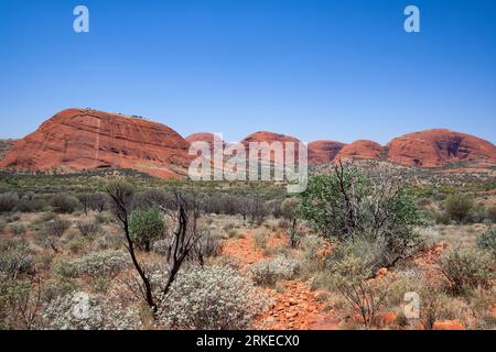 Majestueux dômes de Kata Tjuta situés dans le centre rouge, territoire du Nord, Australie Banque D'Images