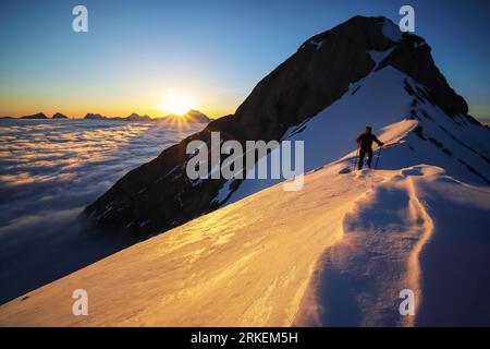 FRANCE. HAUTES-ALPES (05). MASSIF DU DEVOLUY : TETE DE GIRBAULT (2370M) Banque D'Images