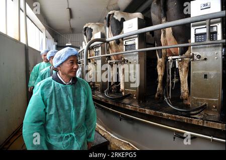 Bildnummer : 55283376 Datum : 23.04.2011 Copyright : imago/Xinhua (110423) -- TALLINN, 23 avril 2011 (Xinhua) -- Chen Xiaohua (Front), vice-ministre de l'Agriculture de la Chine, visite une ferme bovine dans la banlieue de Tallinn, capitale de l'Estonie, le 22 avril 2011. La délégation du ministère chinois de l'Agriculture a effectué une visite en Estonie du 20 avril au 23 avril, dans le but de renforcer la coopération dans l'industrie agricole des deux pays. (Xinhua/Wang Yaxiong) ESTONIE-CHINE-COOPÉRATION AGRICOLE PUBLICATIONxNOTxINxCHN People Politik kbdig xmk xo0x 2011 quer Bildnummer 55283376 Date 23 04 2011 Banque D'Images