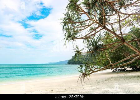 Belle plage de sable dans l'île inhabitée. Fond de paysage parfait pour des vacances reposantes Banque D'Images
