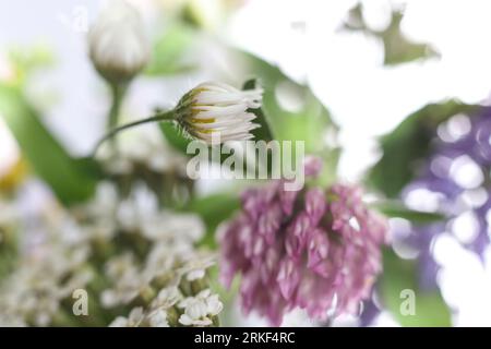 foyer sélectif fleurs sauvages dans un bocal en verre au soleil Banque D'Images