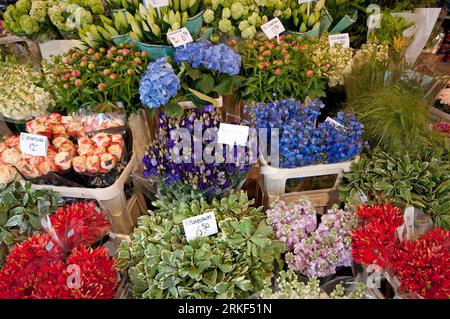 Bloemenmarkt, marché aux fleurs flottant sur le canal Singel, Amsterdam, pays-Bas Banque D'Images