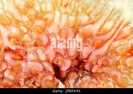 Fond frais de figues découpées et coloré, plat, vue de dessus, texture macro-tropicale aux fruits Banque D'Images