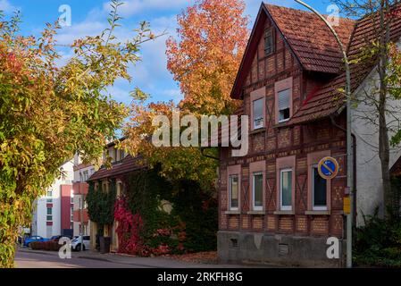 Trottoir le long des maisons et des voitures garées dans une zone urbaine avec des maisons privées de faible hauteur. Suburban House parmi les arbres d'automne. Grande pelouse bien entretenue et Banque D'Images