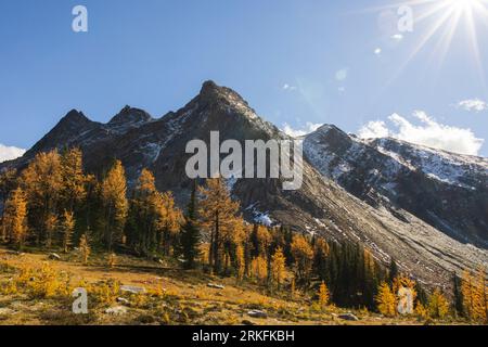 Jumbo Pass à l'automne, Colombie-Britannique Canada Banque D'Images
