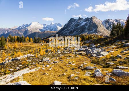 Jumbo Pass à l'automne, Colombie-Britannique Canada Banque D'Images