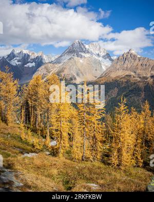 Jumbo Pass à l'automne, Colombie-Britannique Canada Banque D'Images
