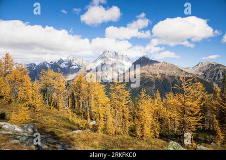 Jumbo Pass à l'automne, Colombie-Britannique Canada Banque D'Images