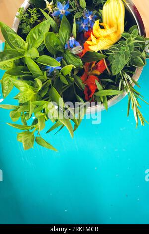 Herbes fraîchement cueillies dans Un jardin de maison au Danemark Banque D'Images