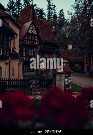 Une rue pittoresque à Bran, en Roumanie bordée de maisons colorées et de parterres de fleurs florissants Banque D'Images