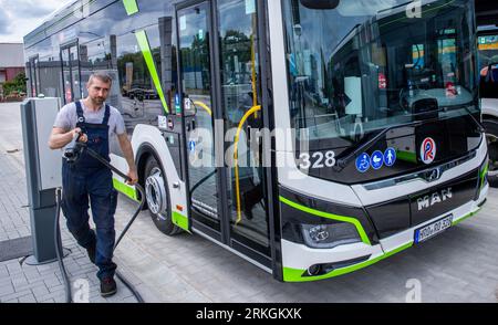 Rostock, Allemagne. 02 août 2023. Sebastian Schuh tient l'épais câble de charge avec connecteur pour charger un bus électrique au nouveau dépôt de Rostocker Straßenbahn AG (RSAG). Après six mois de travaux de conversion, le site des autobus réguliers a été adapté pour les systèmes de propulsion alternatifs. Les bus peuvent être alimentés avec de l’énergie électrique et du biométhane, et le plan est de convertir progressivement tous les services d’autobus en systèmes d’entraînement respectueux du climat au cours des prochaines années. Crédit : Jens Büttner/dpa/Alamy Live News Banque D'Images